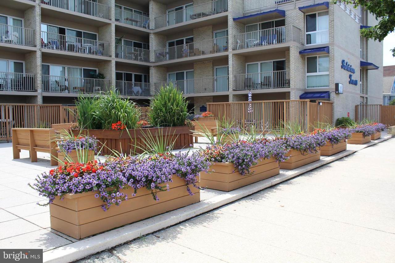 8 Olive Avenue - Photo 1
