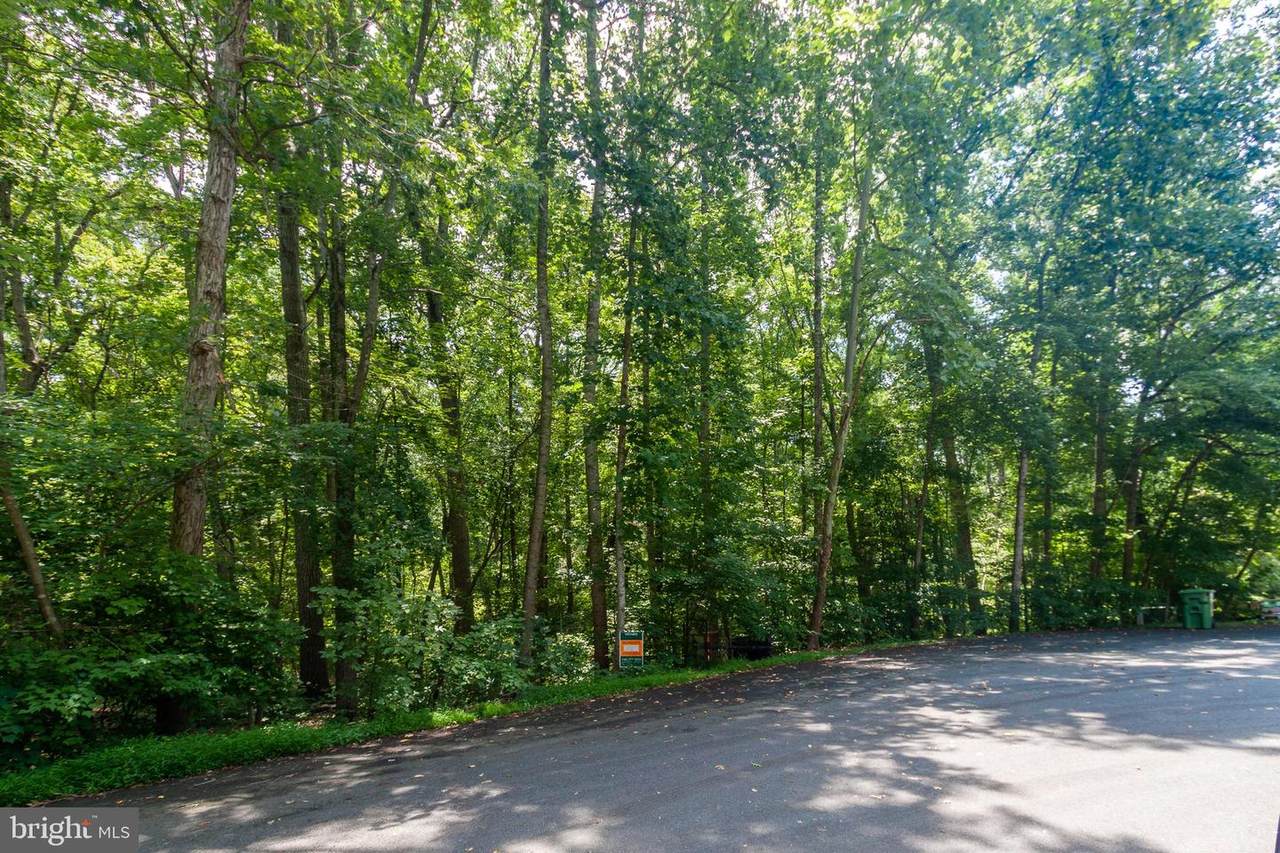 12904 Verrey Court - Photo 1