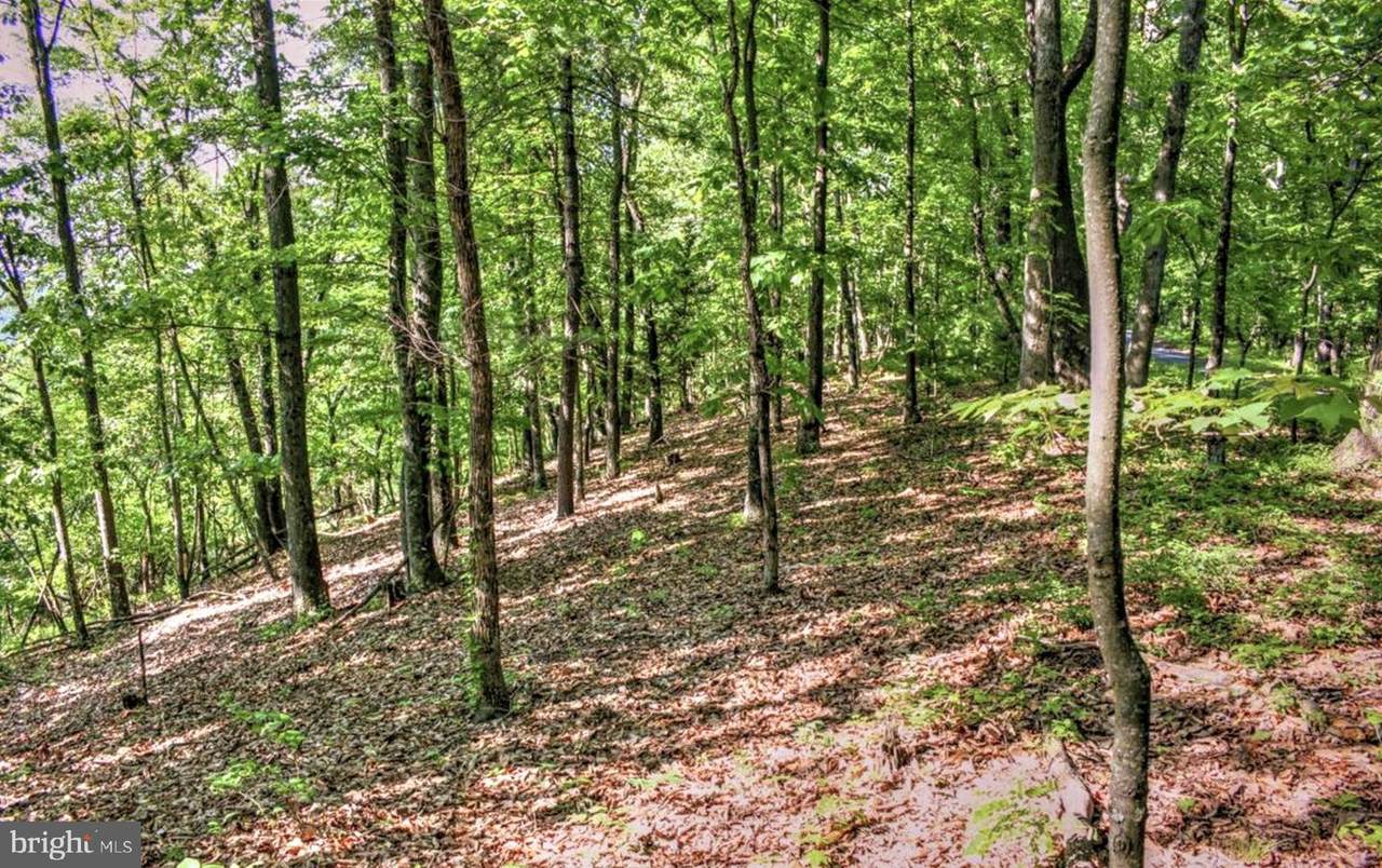 TBD Supinlick Ridge - Photo 1