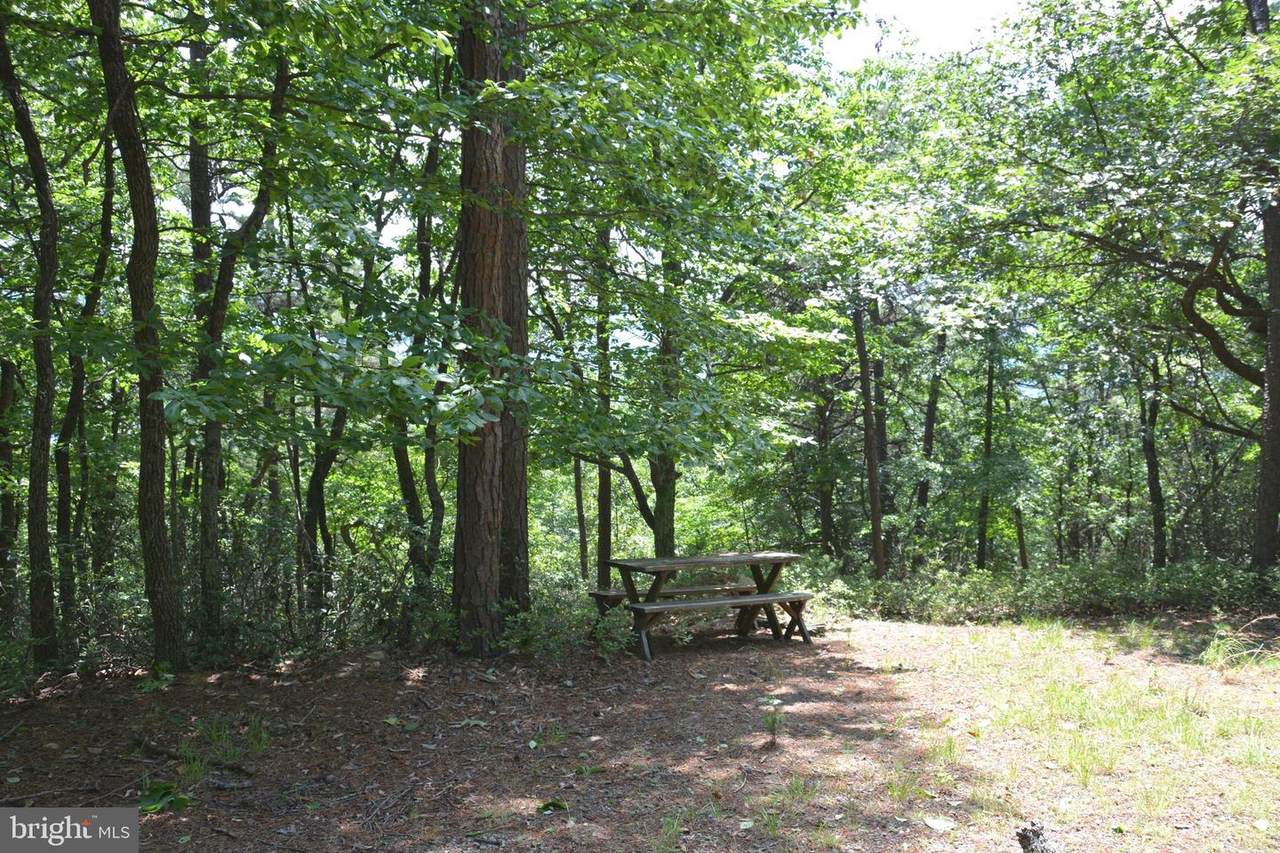 Lot 46, Lower Flats Drive - Photo 1