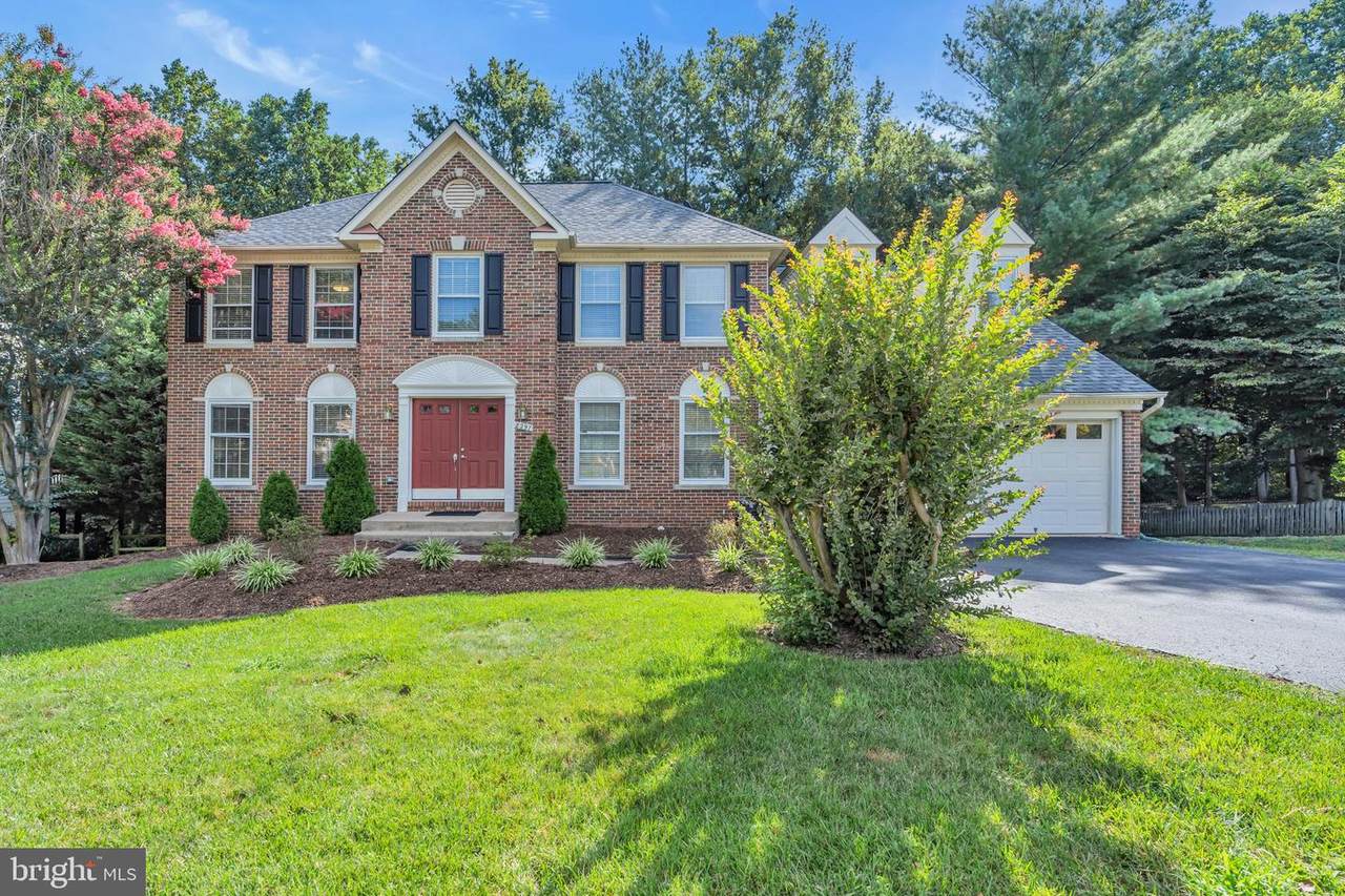 8297 Armetale Lane - Photo 1