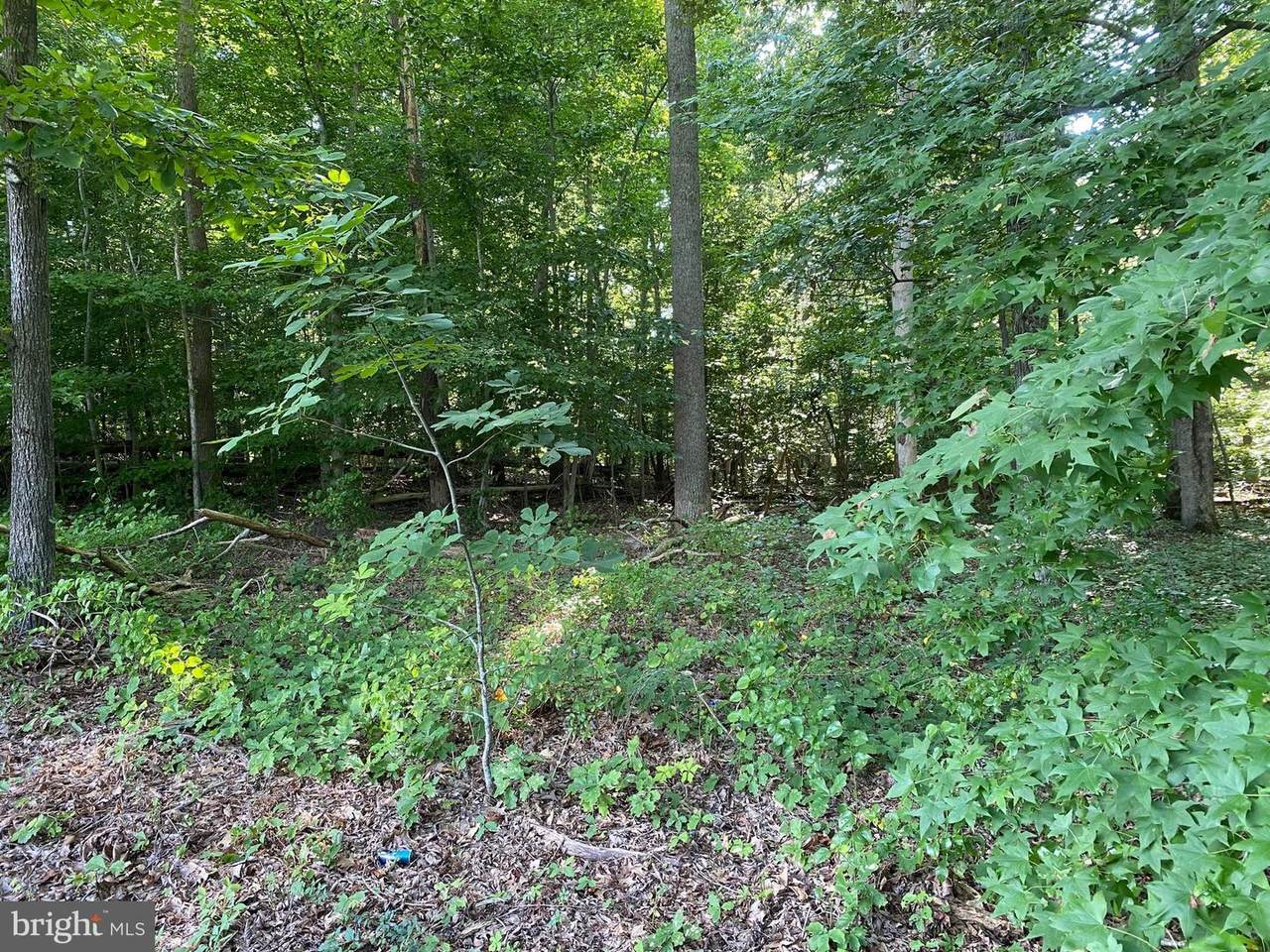 Lockes Hill Road - Photo 1