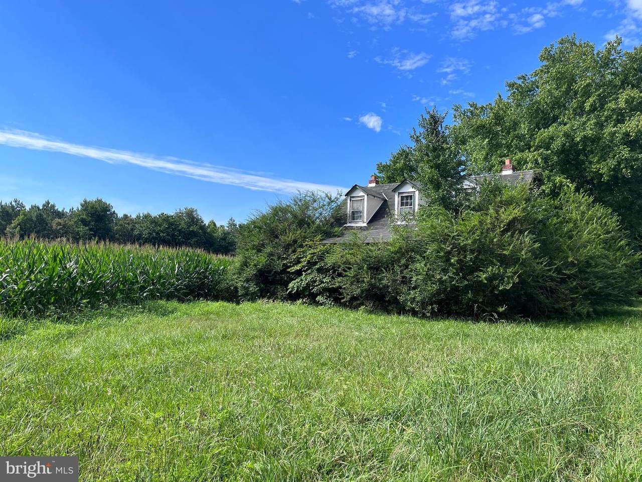 18334 Beazley Lane - Photo 1