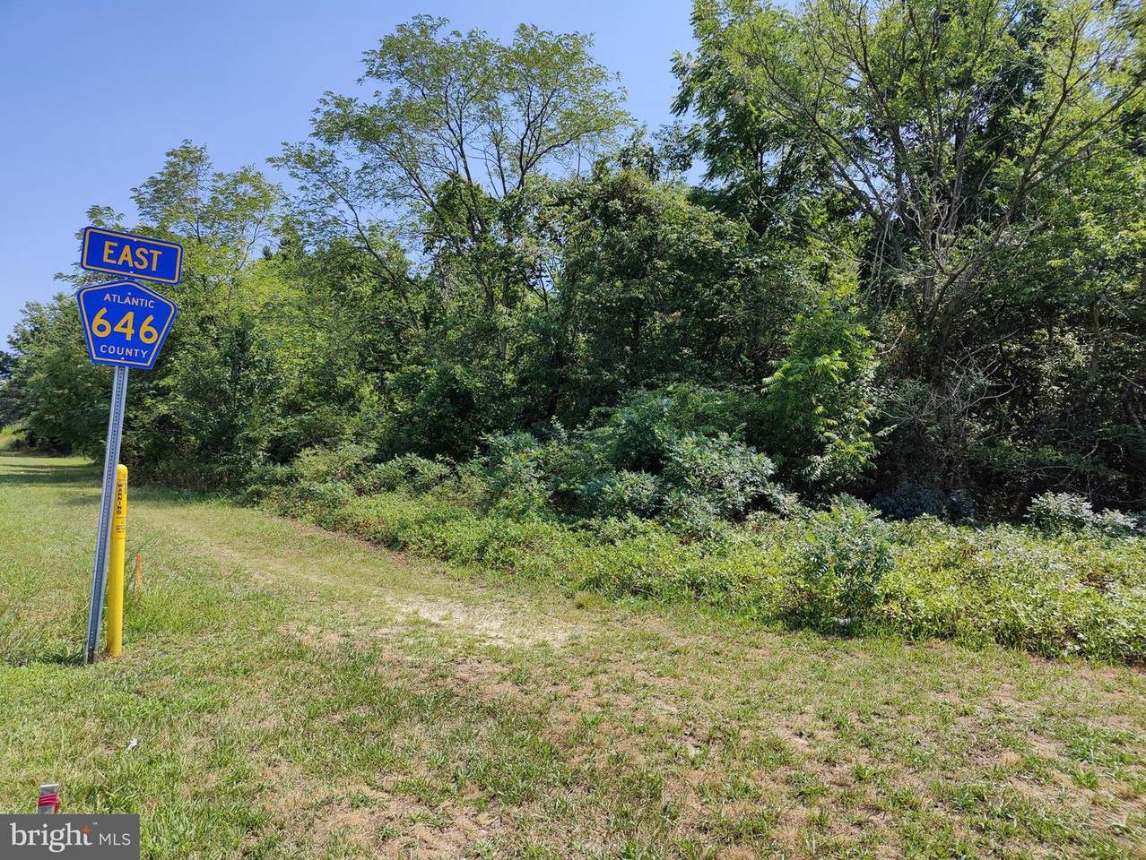 6503 Delilah Road - Photo 1