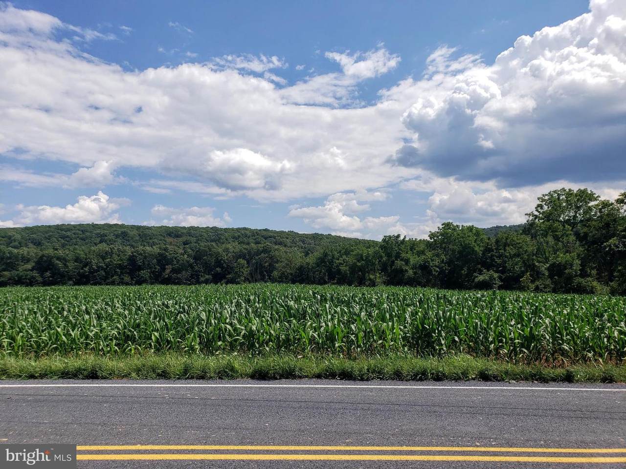 Lot 2 Rt 35 - Photo 1