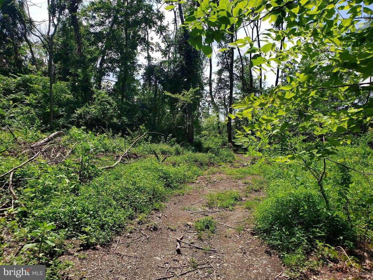 Lot 19 W Mountain Rd - Photo 1