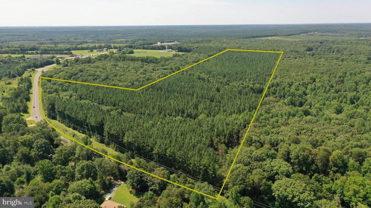 0 ZACHARY TAYLOR HWY - Photo 1