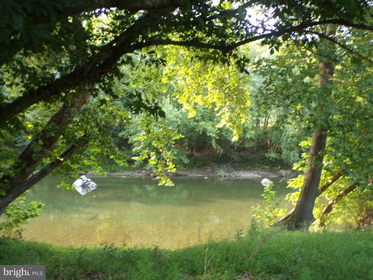 Potomac Valley View - Photo 1