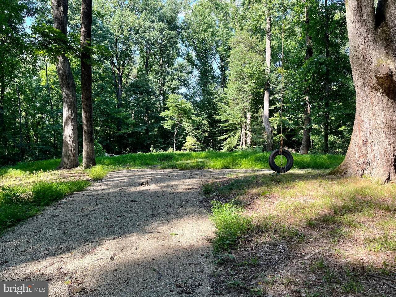 14888 Poplar Hill Road - Photo 1
