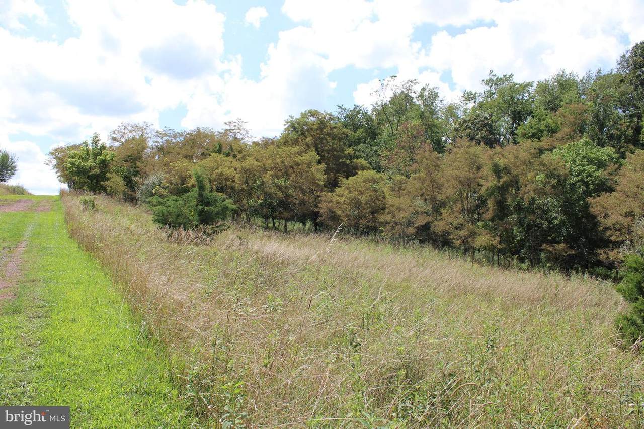 Lot 25 Pear Ln - Photo 1