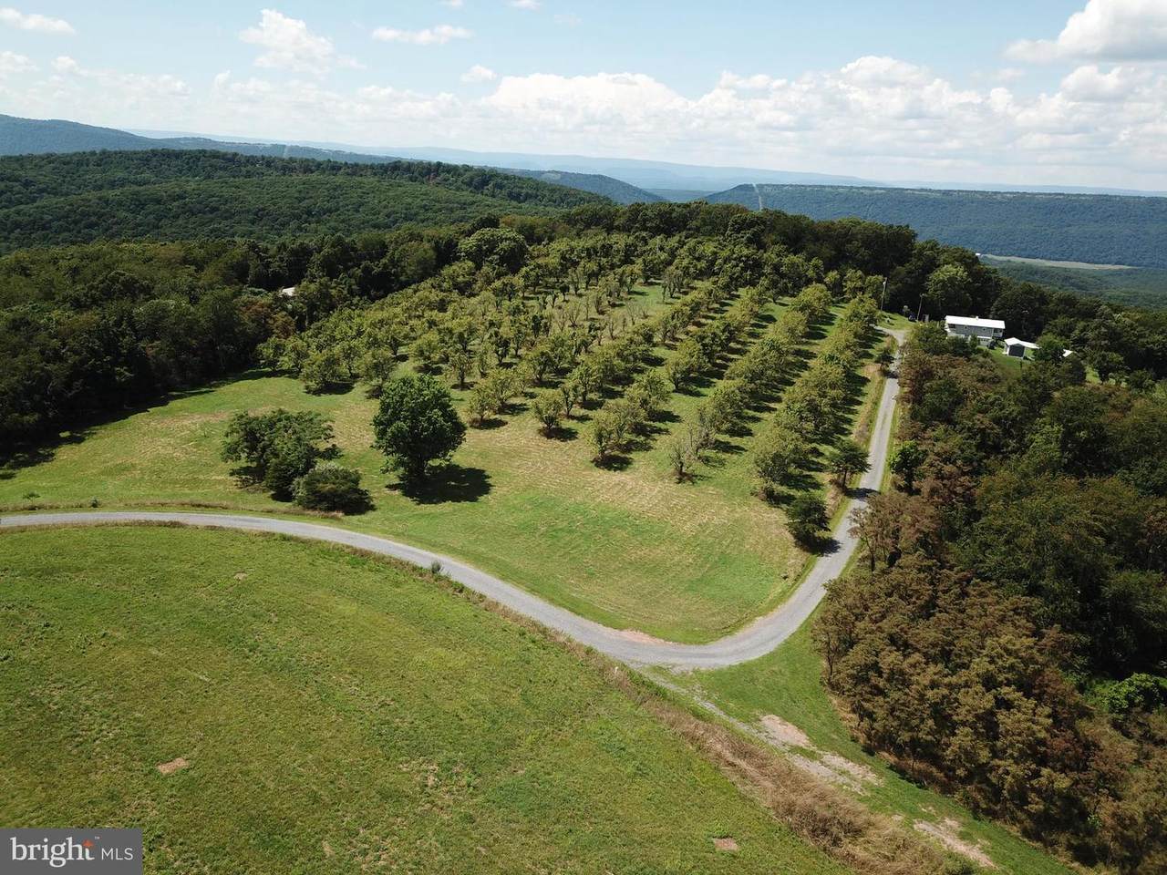 Lot 26 Pear Ln - Photo 1