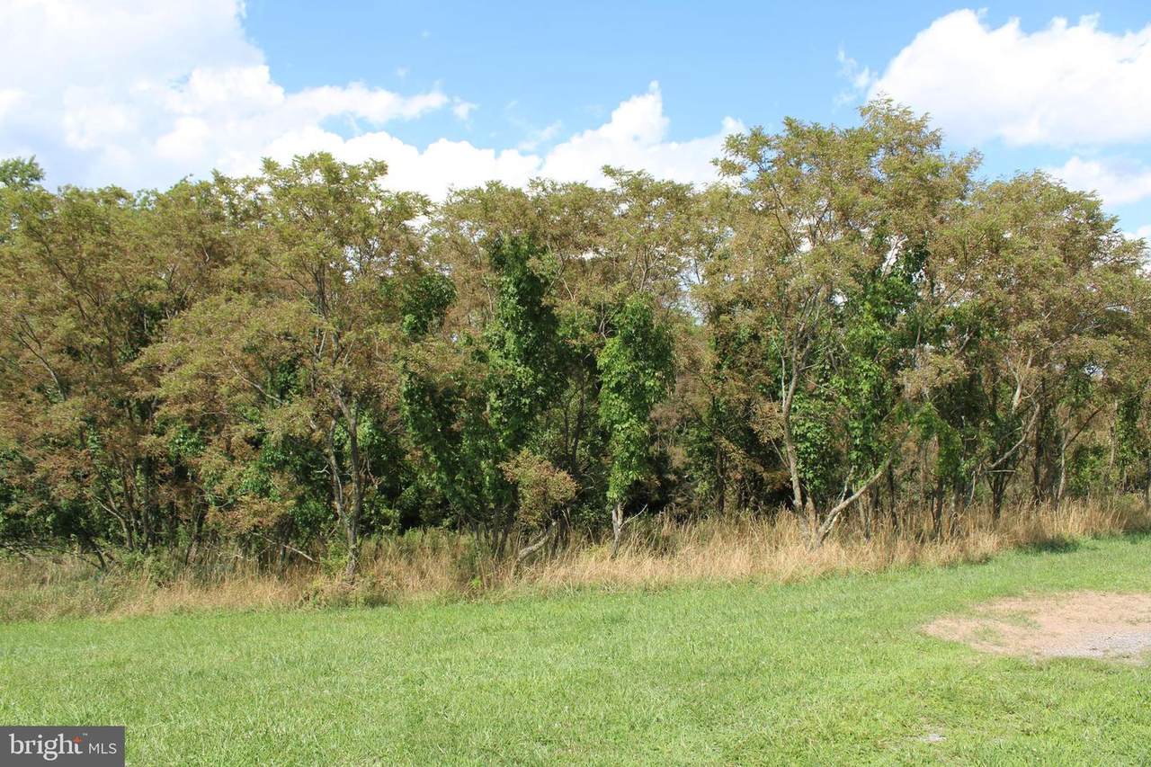 Lot 27 Pear Ln - Photo 1