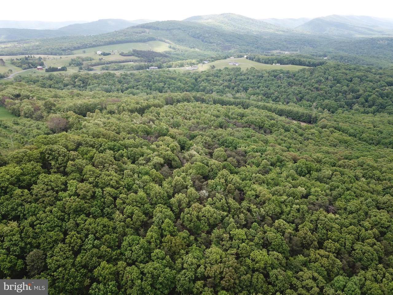 LOT 28 Pear Ln - Photo 1