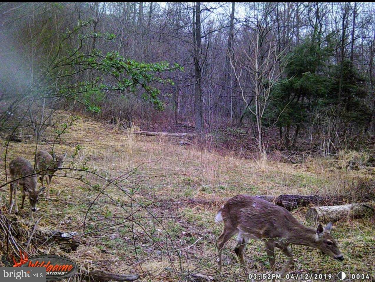 35 Appalachian Drive - Photo 1
