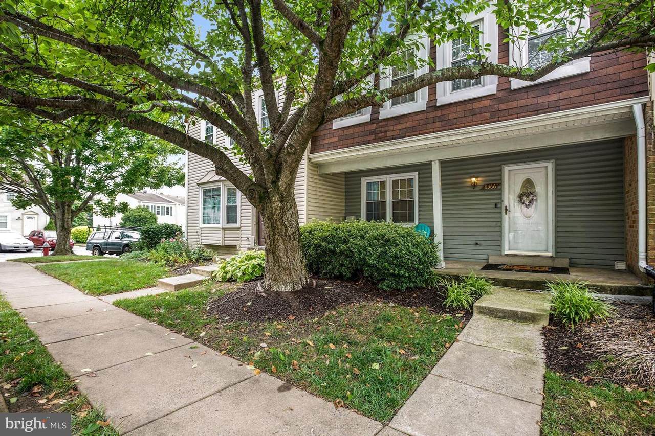 6366 Fenestra Court - Photo 1