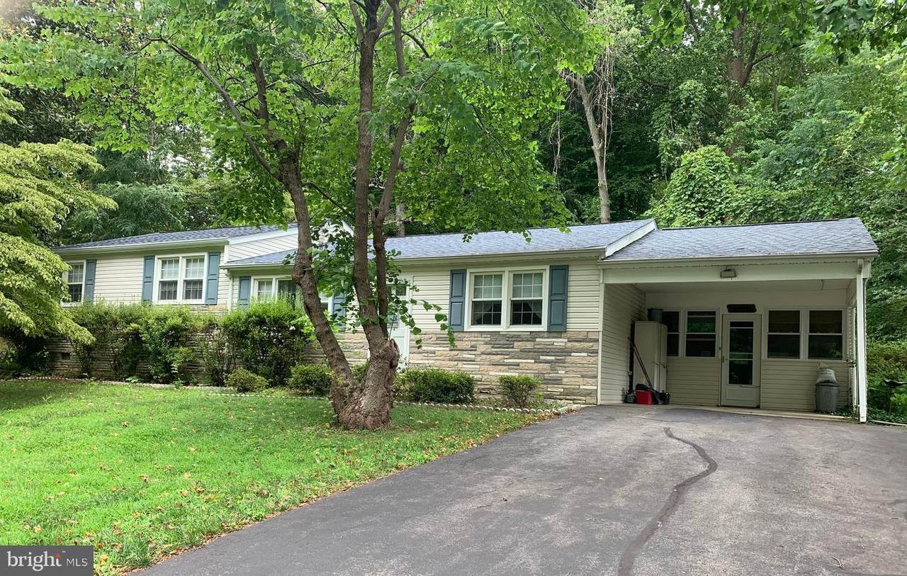 3620 Pine Tree Road - Photo 1