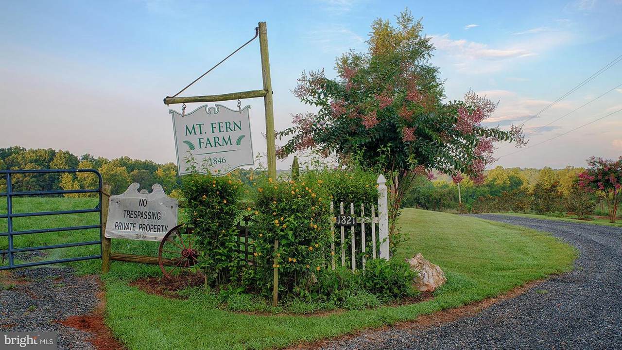 1825 Locust Grove Church Rd - Photo 1