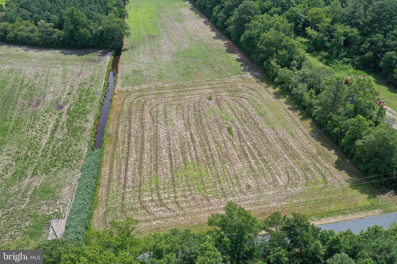 Lot 5 Warren Road - Photo 1