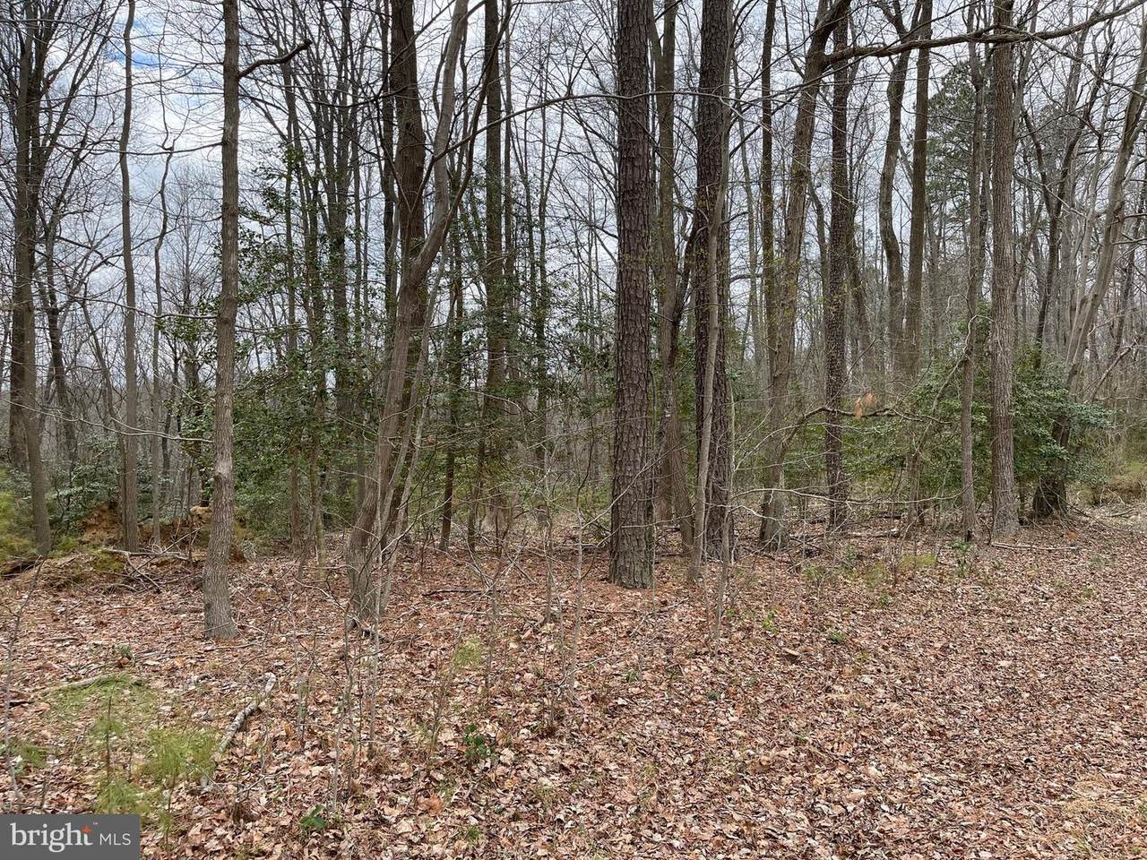 2345 Park Chesapeake Drive - Photo 1