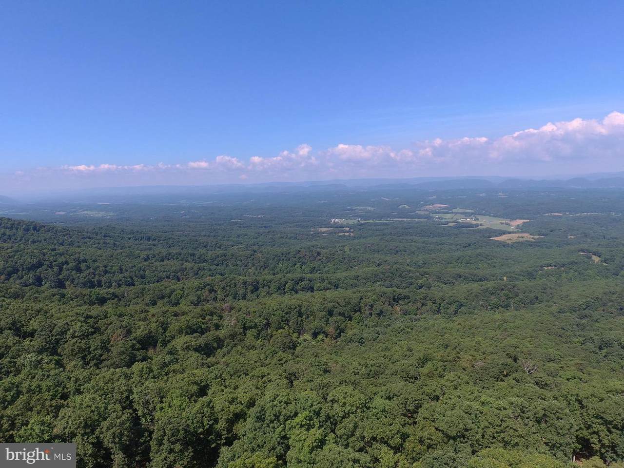 212 Patterson Creek Mt Road - Photo 1