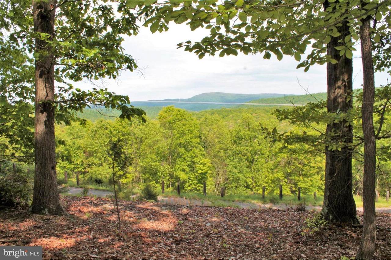 14910 Buck Resort Lane - Photo 1