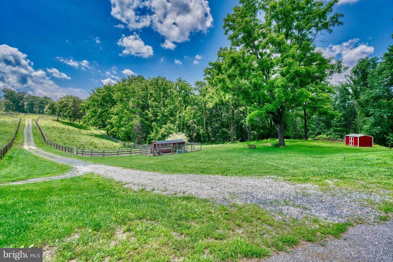 15438 Duncan Hill Road - Photo 1