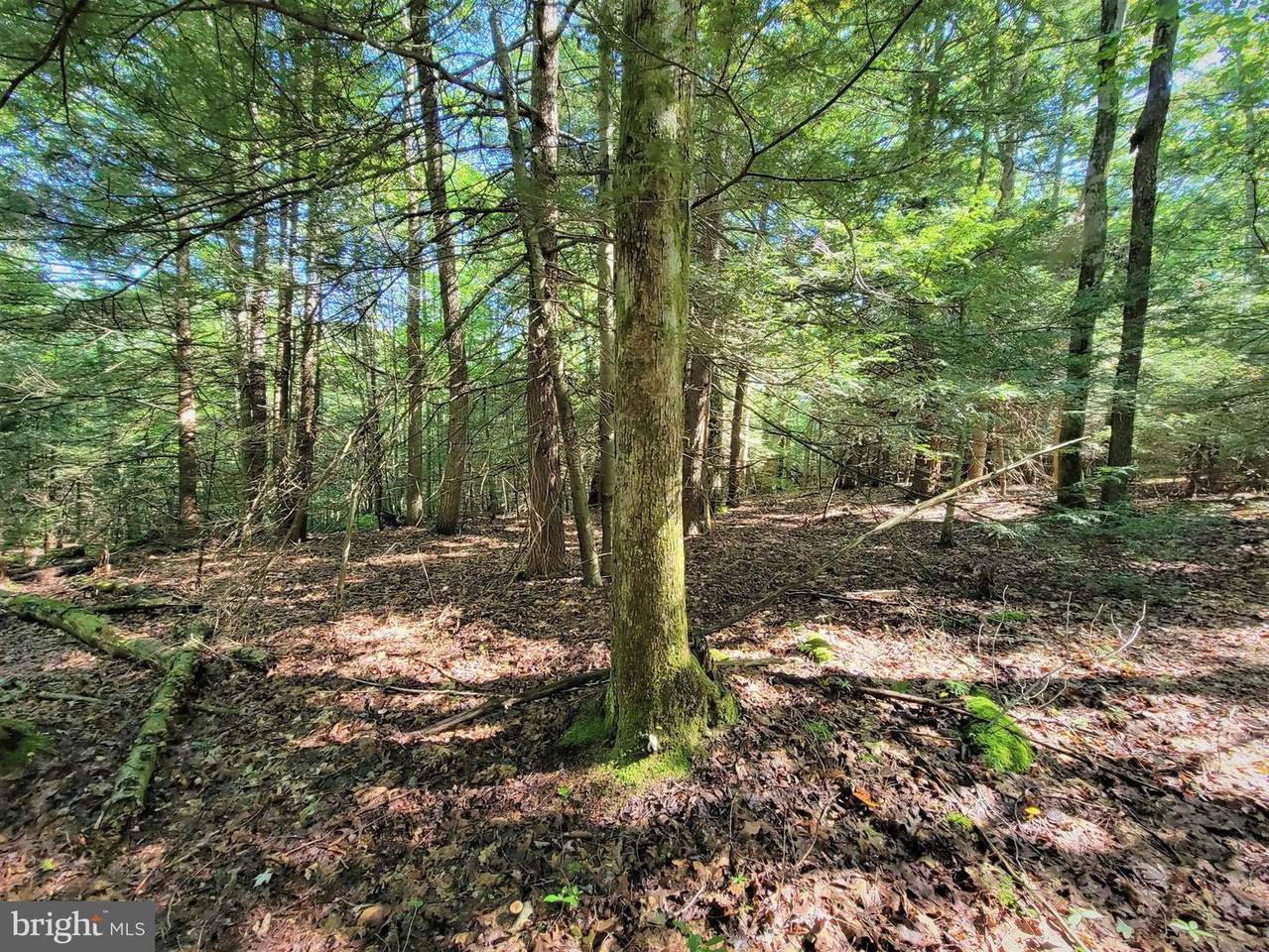Lot 47 Hemlock Rd/Parcel 83 - Photo 1