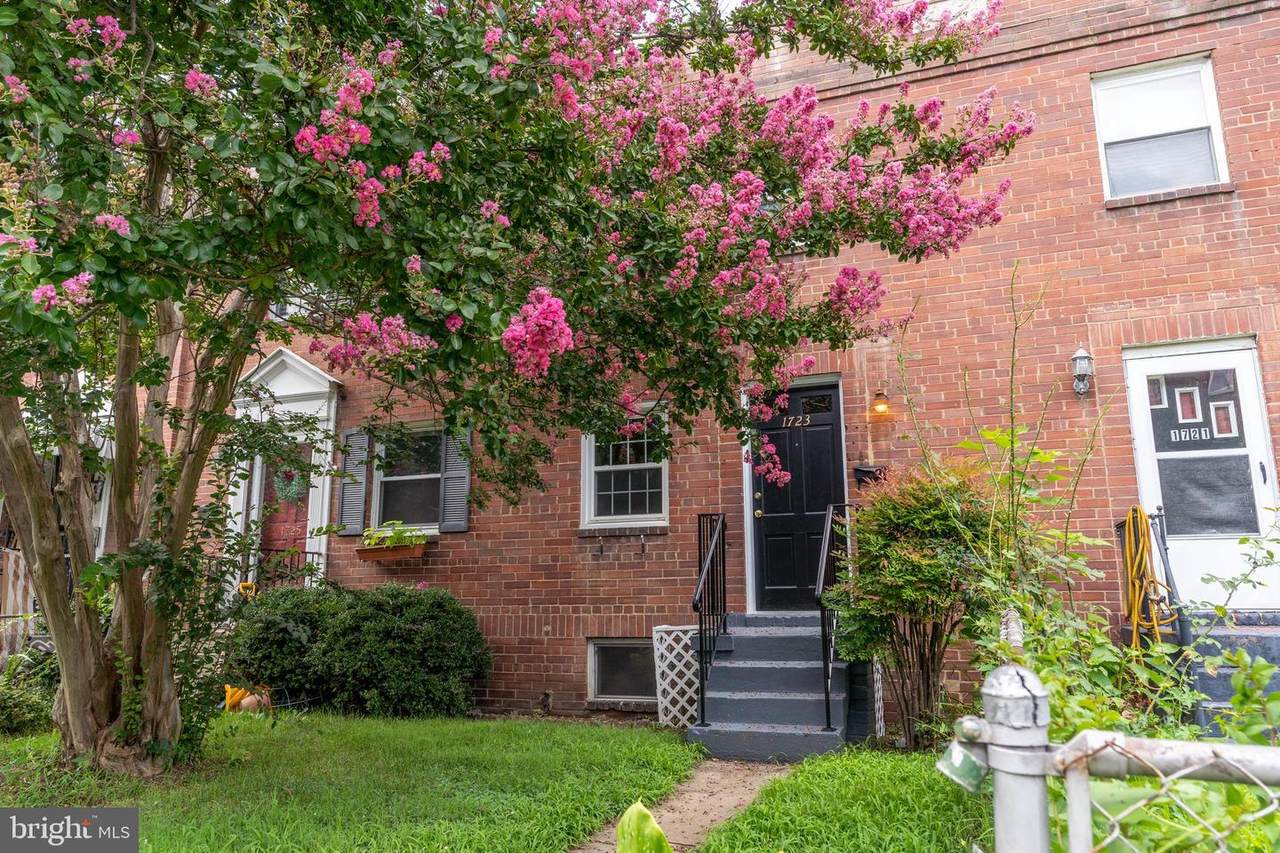1723 Cameron Street - Photo 1