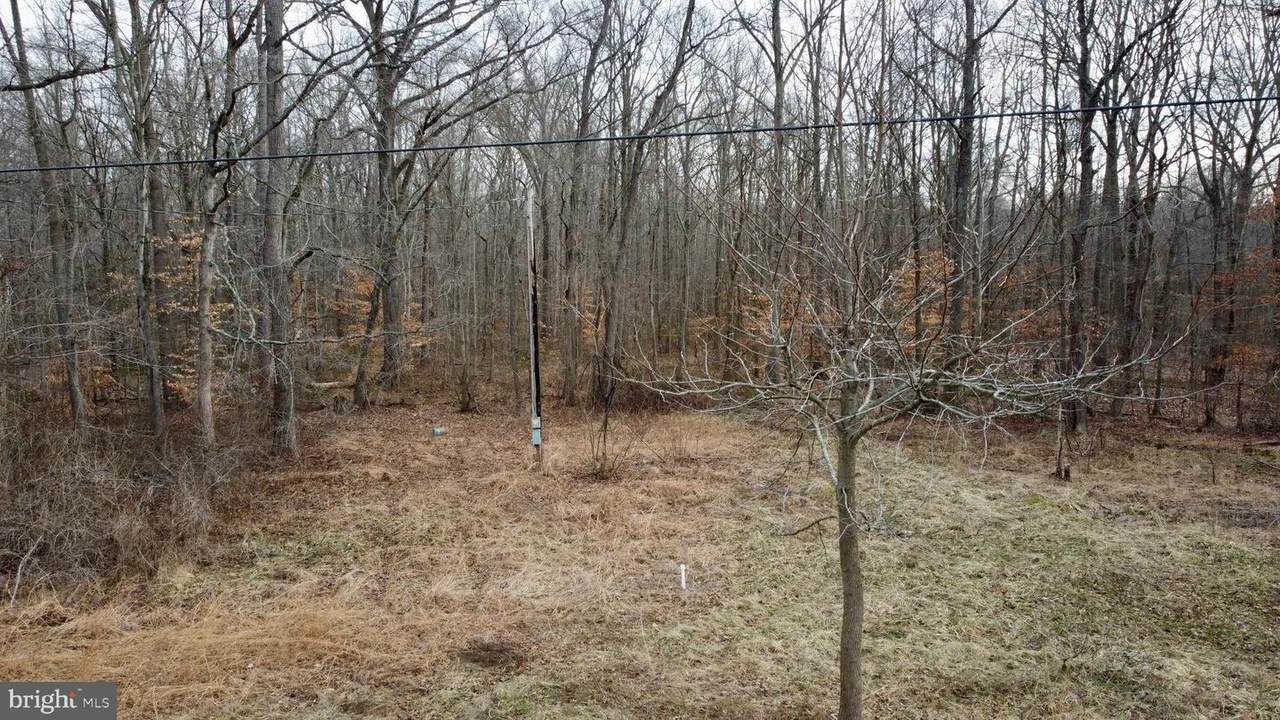 3280 Downs Chapel Road - Photo 1
