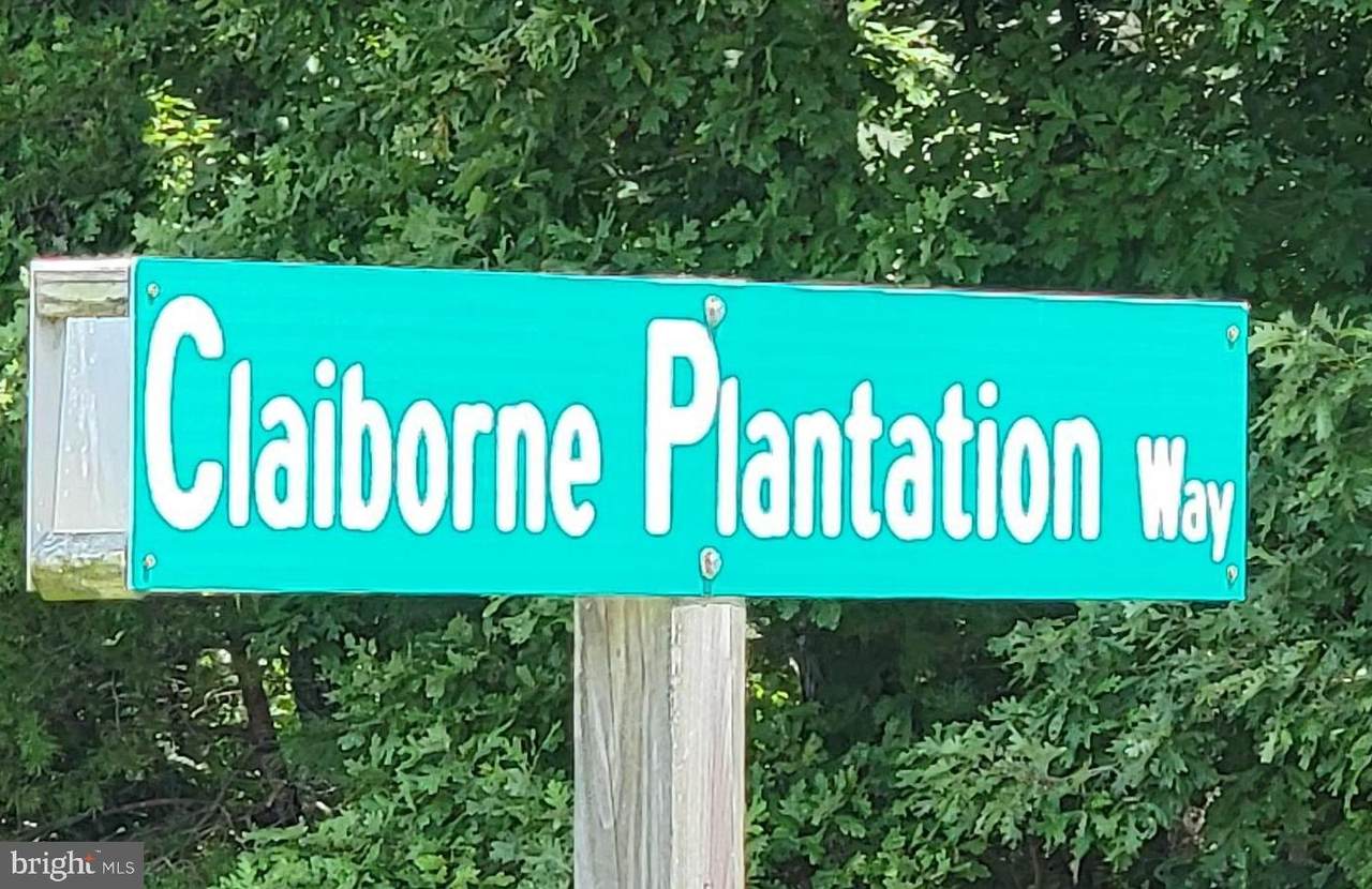 4044 Claiborne Plantation Way - Photo 1