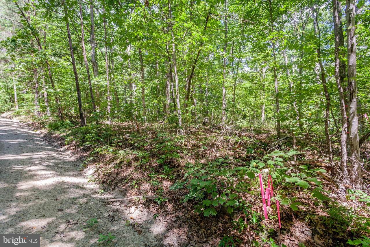 Lot K-38 White Oak Rd - Photo 1