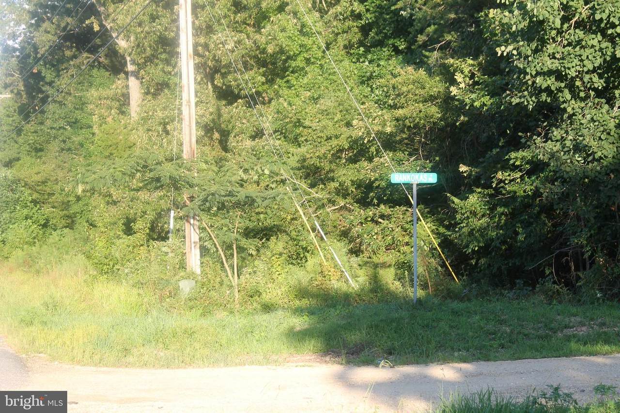 12335 Budds Creek Road - Photo 1