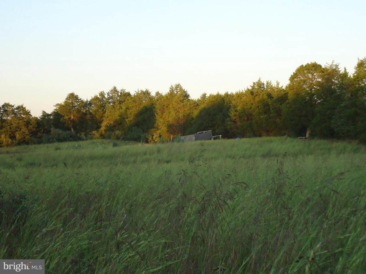 Guard Hill Road - Photo 1