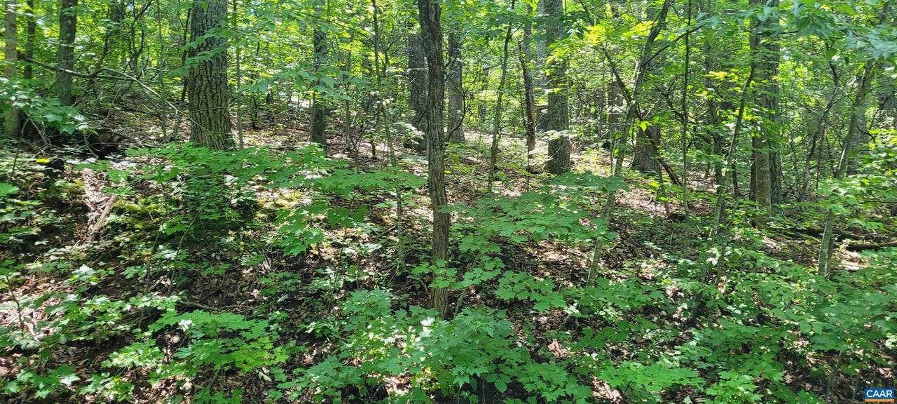 0 Top Ridge Rd - Photo 1