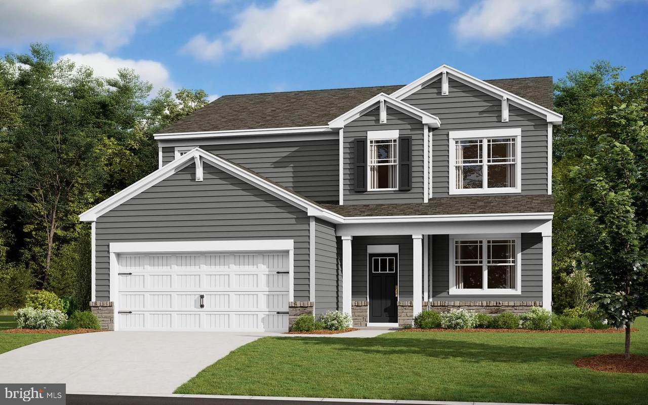 31131 Tigress Road - Photo 1