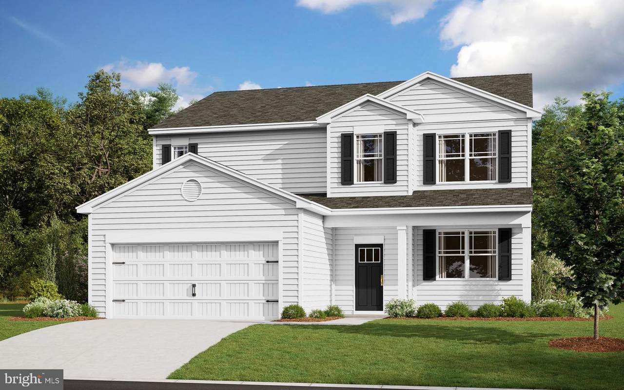 31128 Tigress Road - Photo 1