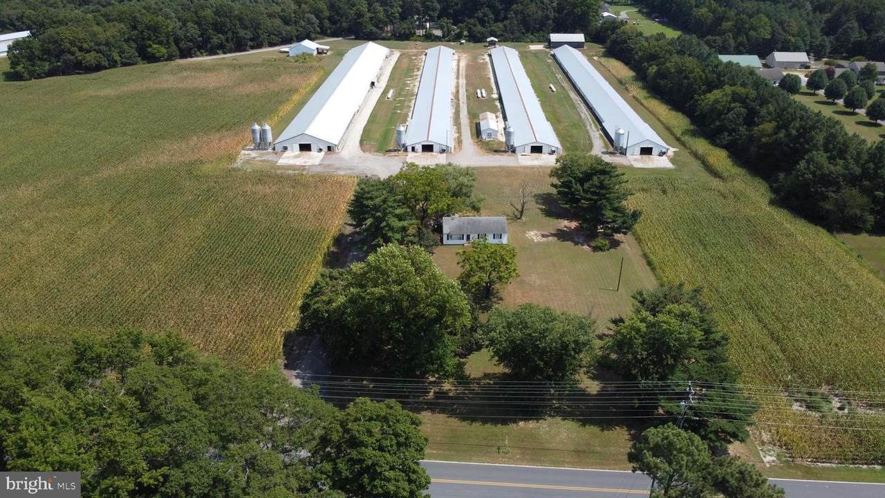 7385 Walston Switch Road - Photo 1