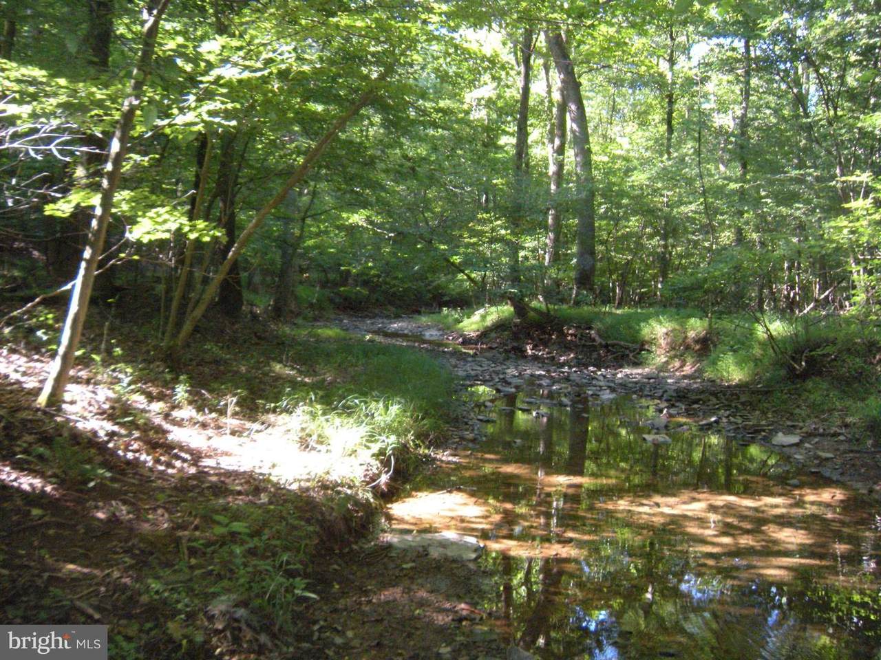 LOT 10 HOOVER MTN - Pack Horse Road - Photo 1