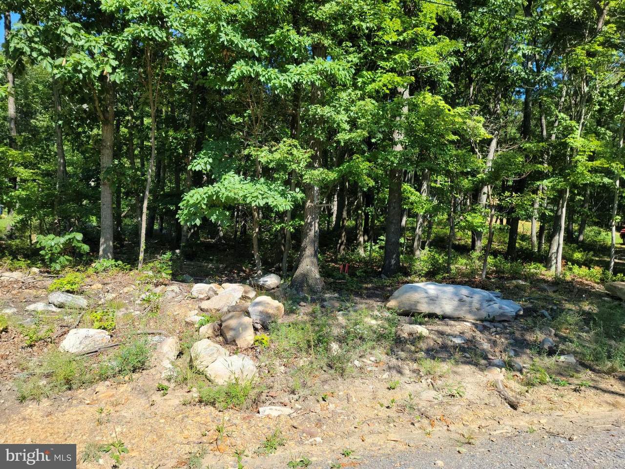 LOT 7 Quail Dr - Photo 1