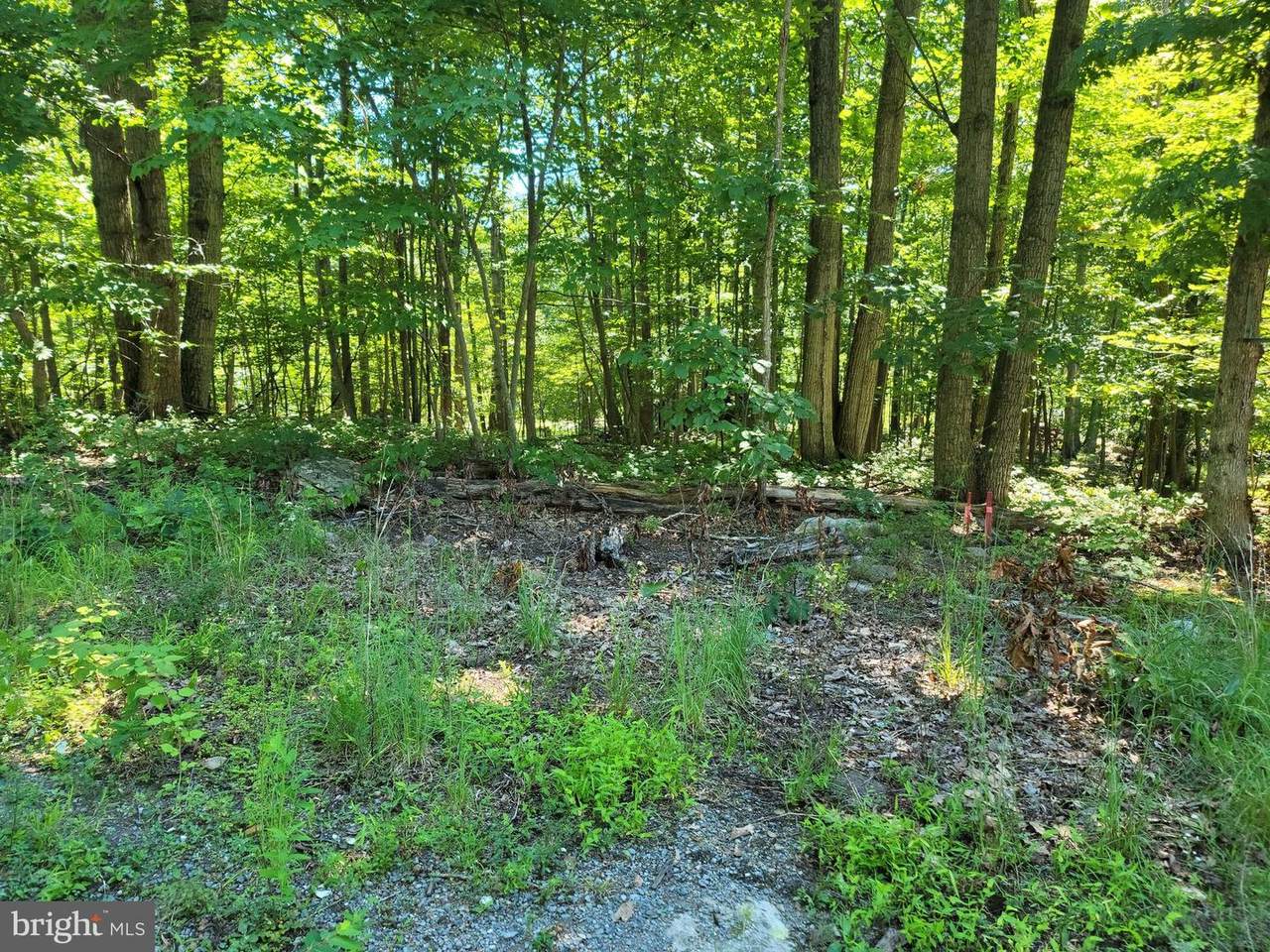 LOT 10 Raccoon Drive - Photo 1