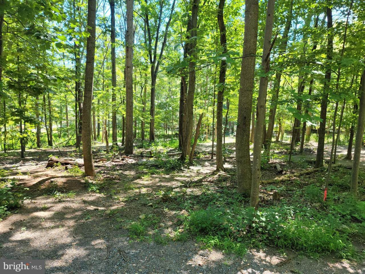 LOT 9 Panther Drive - Photo 1