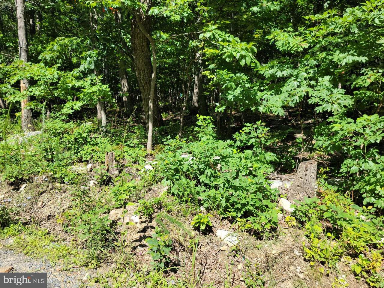Lot 6 Cardinal Drive - Photo 1