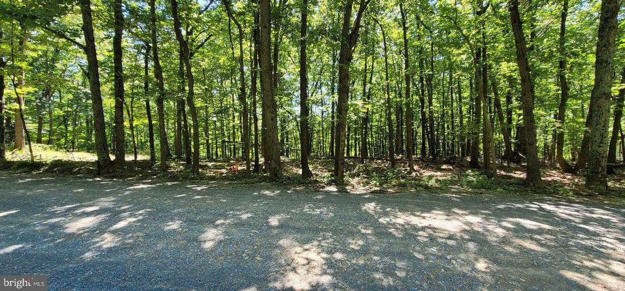 LOT 48 Cardinal Drive - Photo 1