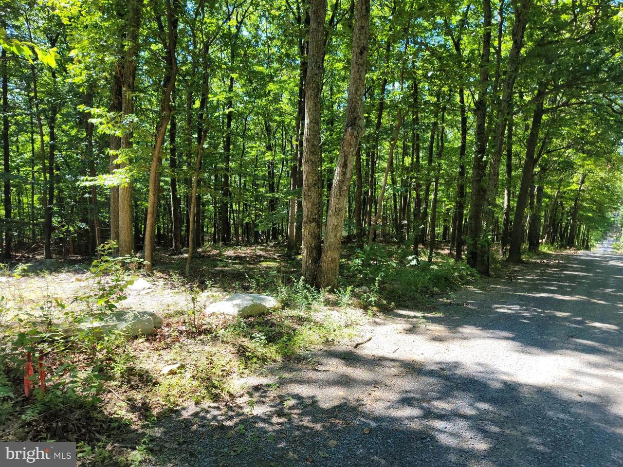 LOT 47A Cardinal Drive - Photo 1