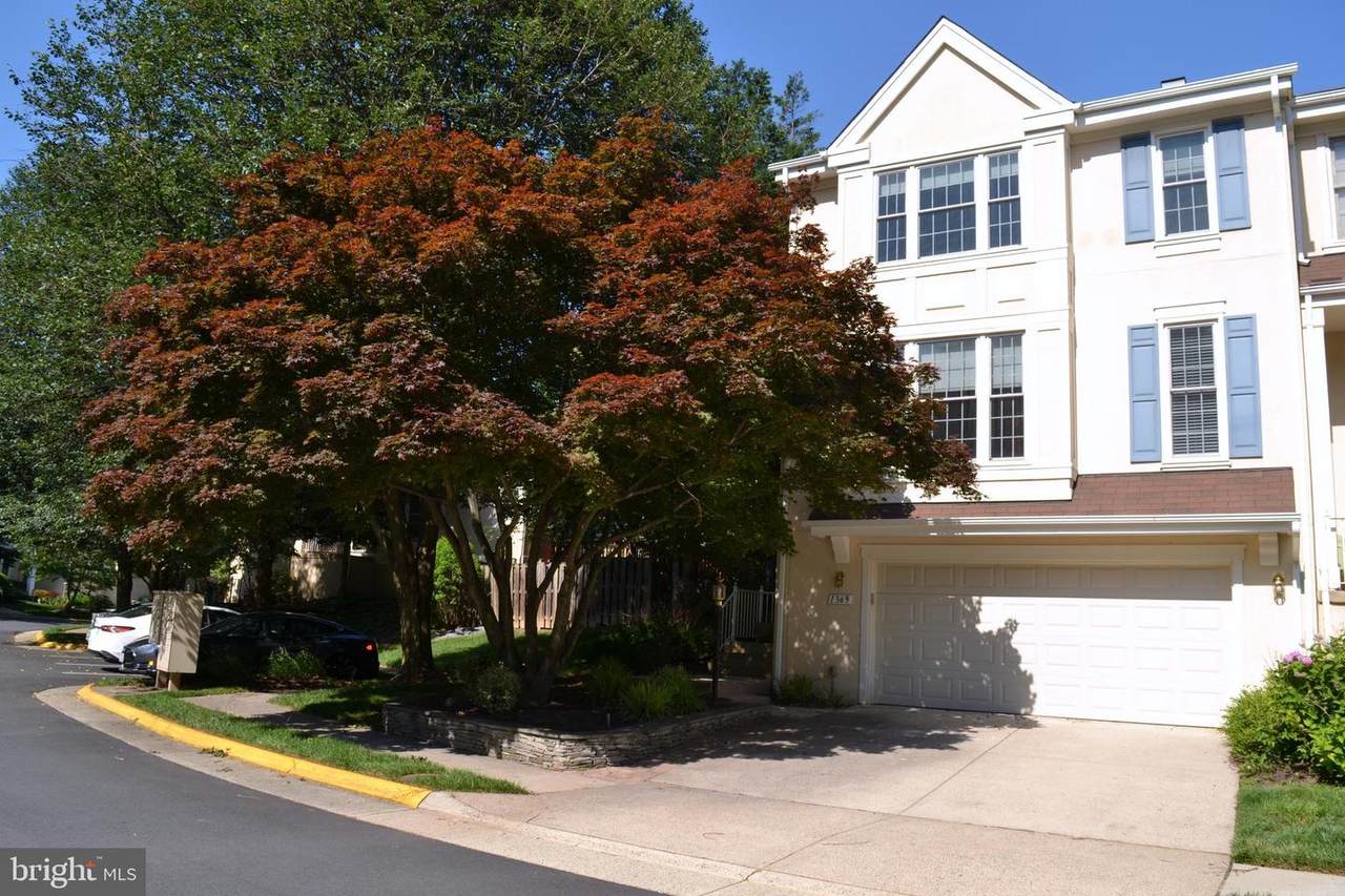 1369 Park Garden Lane - Photo 1