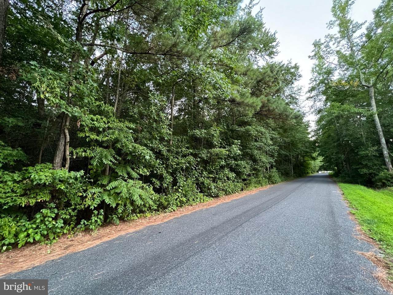 Lot 9 Beaver Circle - Photo 1
