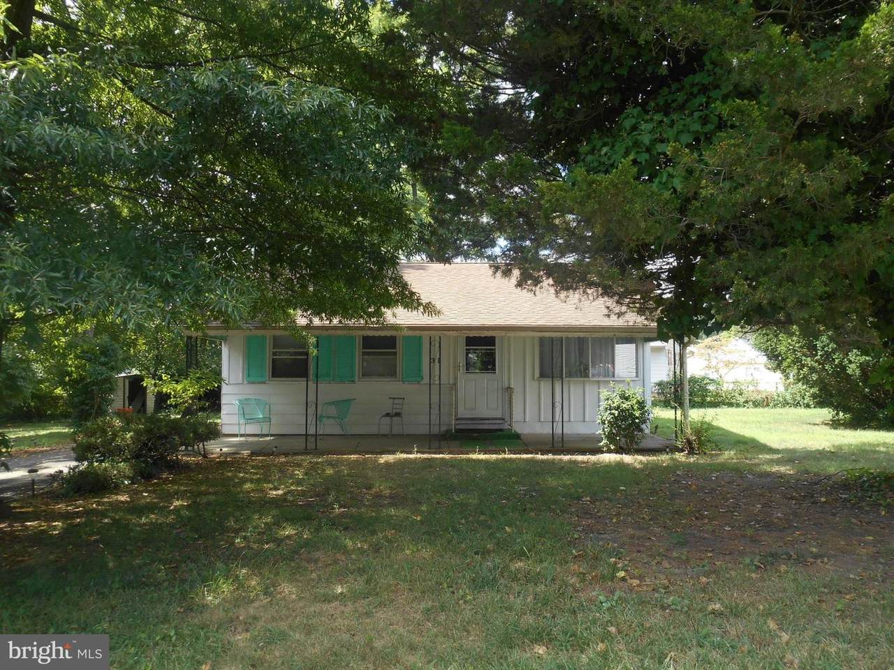31 Phoenix Avenue - Photo 1