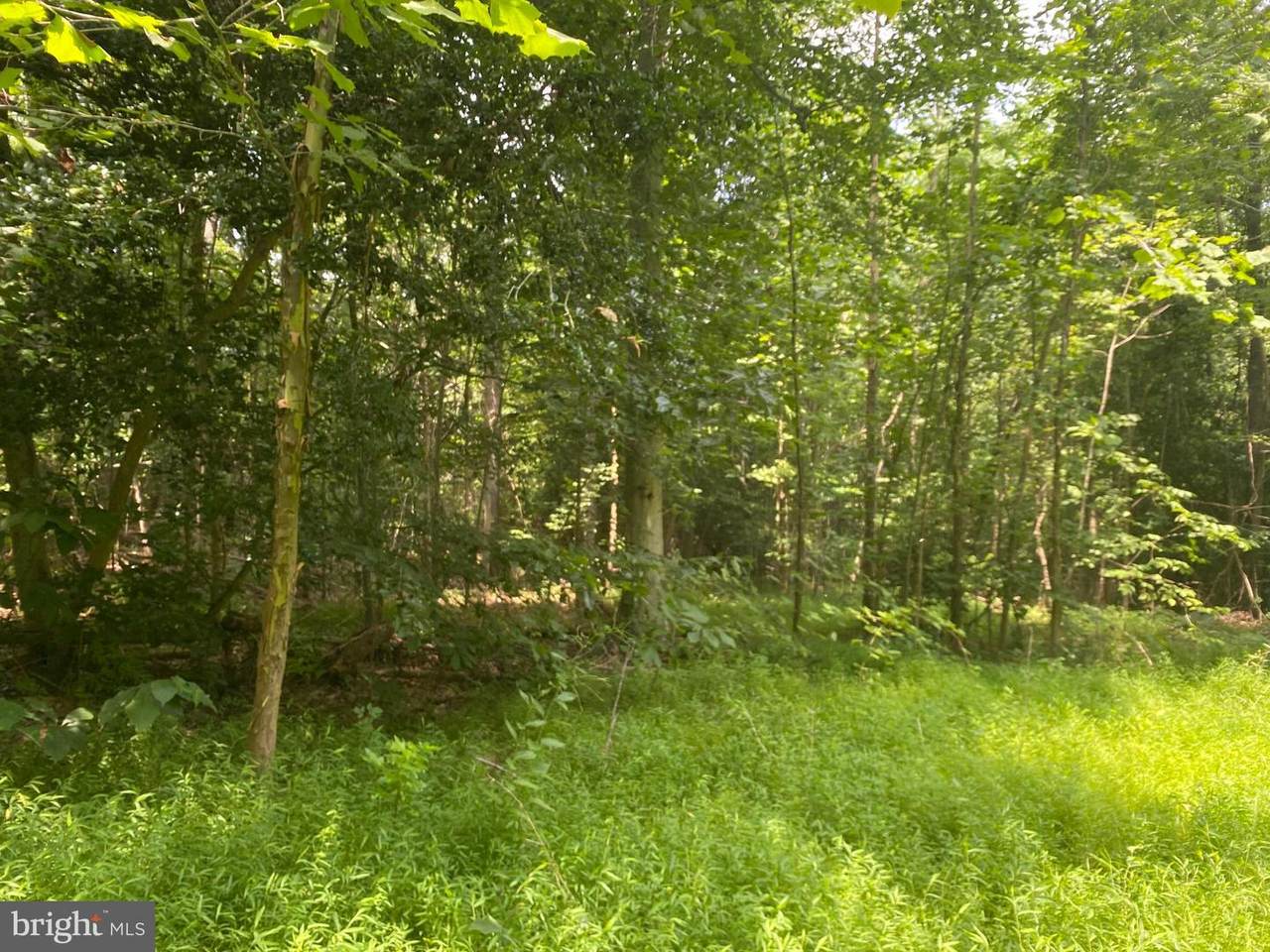 6500 Chicamuxen Road - Photo 1