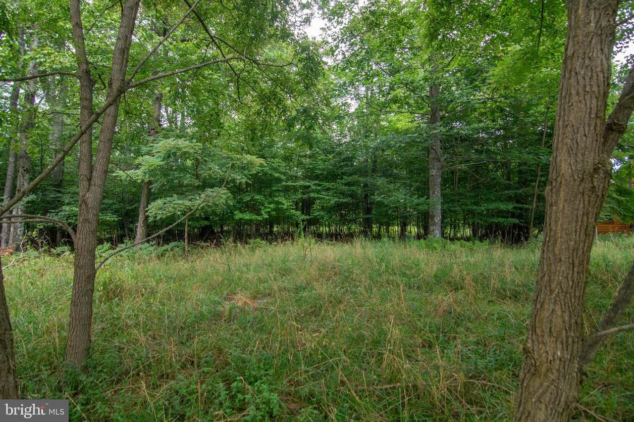 1 Little Dipper Lane - Photo 1
