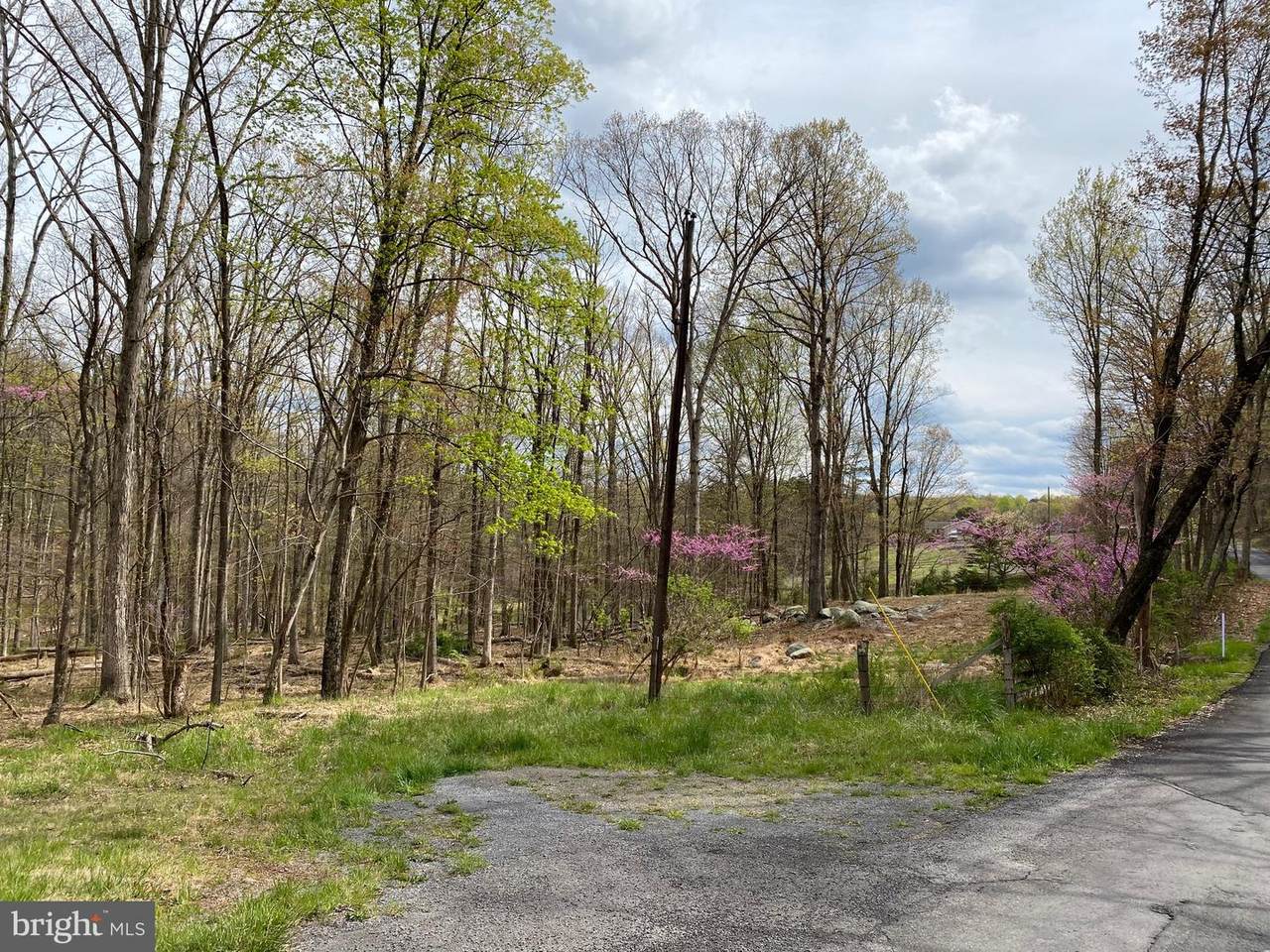 Woodmont Road - Photo 1